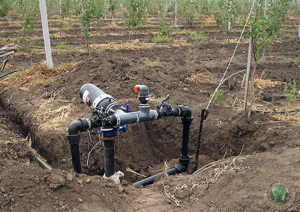 Farming transformation journey